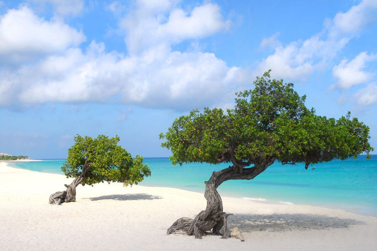 Eagle Beach, Aruba